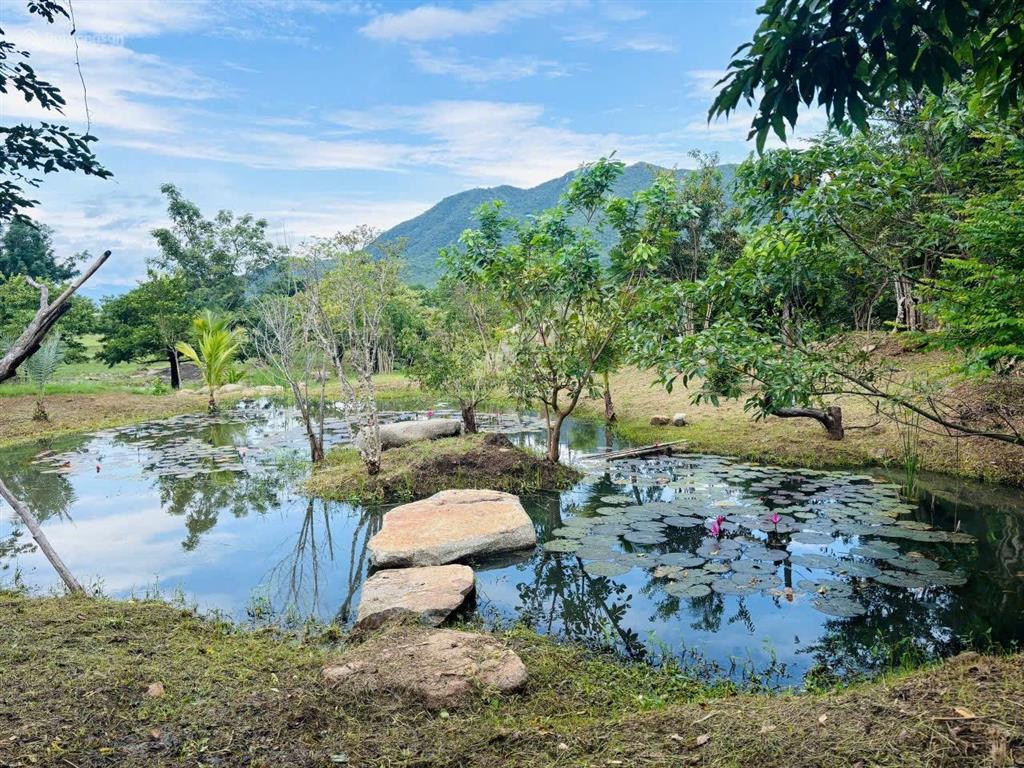 Đất mẫu khu vực xã phước trung, bác ái (cũ)