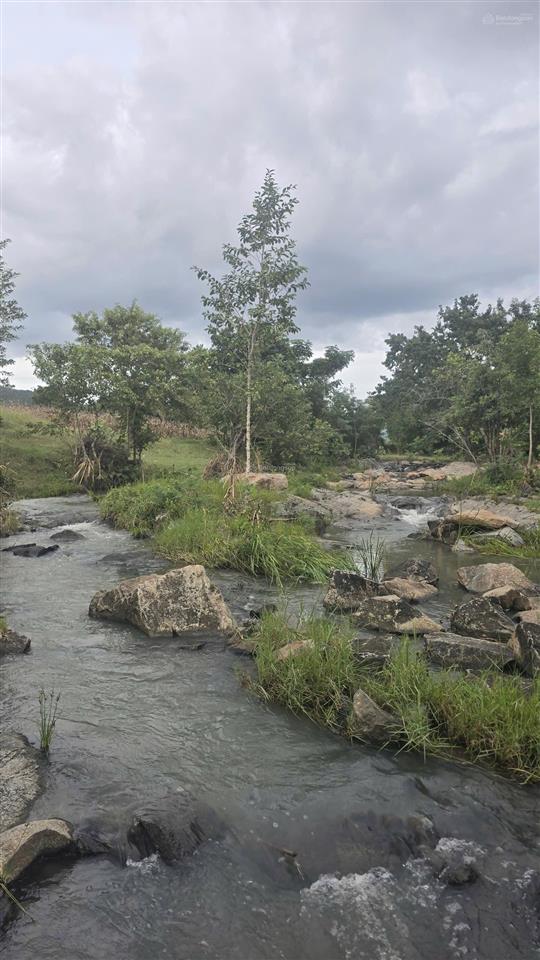 Đất mẫu khu vực xã phước trung, bác ái (cũ)