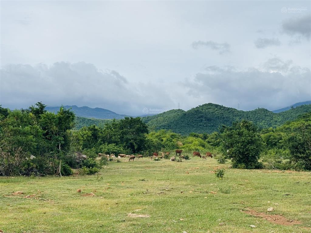 Đất mẫu khu vực xã phước trung, bác ái (cũ)