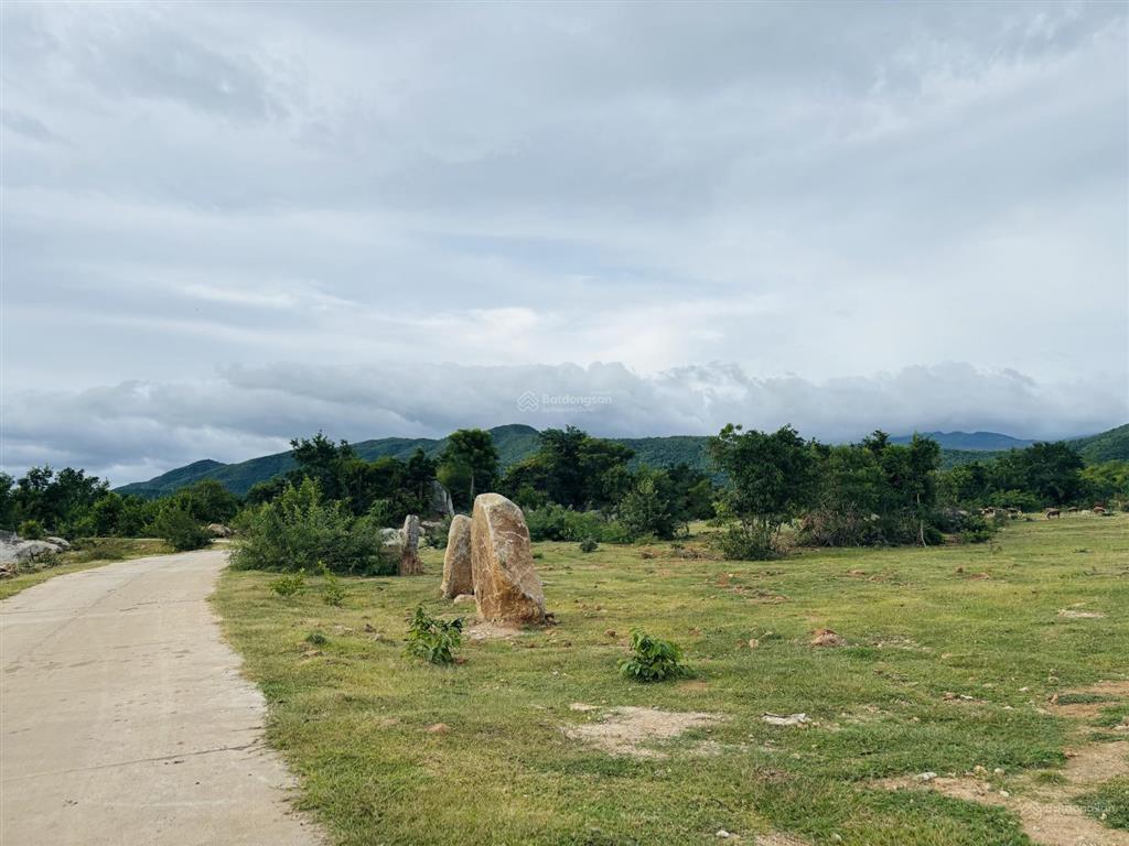 Đất mẫu khu vực xã phước trung, bác ái (cũ)