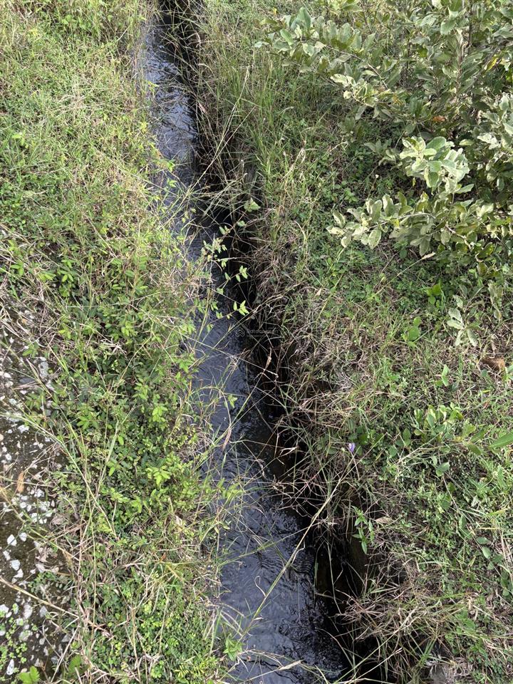 Đất mẫu khu vực xã phước trung, bác ái (cũ)