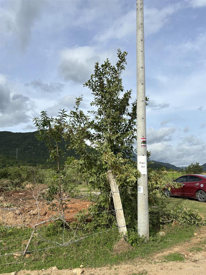 Đất mẫu khu vực xã phước trung, bác ái (cũ)