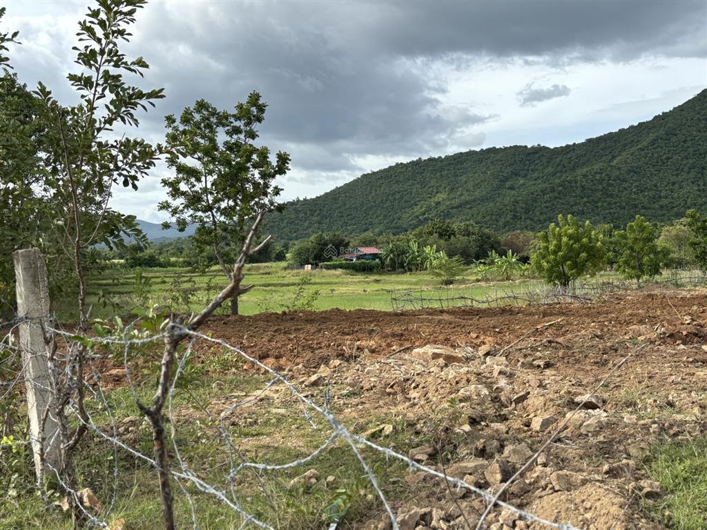 Đất mẫu khu vực xã phước trung, bác ái (cũ)