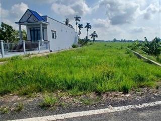 Bán gấp đất đt826  long trạch, cần đước, long an gần kcn cầu tràm, 120m2/800tr, shr, đất thổ 100%
