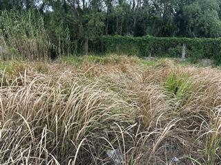 Gấp bán lô đất đ. nguyễn văn cừ, an bình, ninh kiều, cần thơ gần đại học nam cần thơ, 150m2, shr