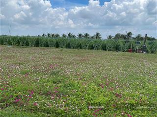 Cần bán gấp đất xã tân điền, gò công đông, tiền giang gần biển tân thành, 150m2/1,5 tỷ, shr, thổ cư