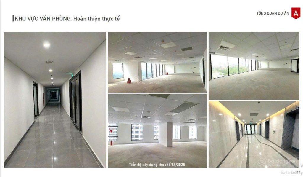 Trực tiếp cđt lô góc đông nam sàn vp hạng a tại 136 hồ tùng mậu, giá chỉ từ 55tr/m2