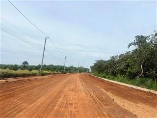 Kẹt tiền cần bán gấp 2,5ha cao su thu nhập 40 triệu/tháng, giá chỉ 6,5 tỷ
