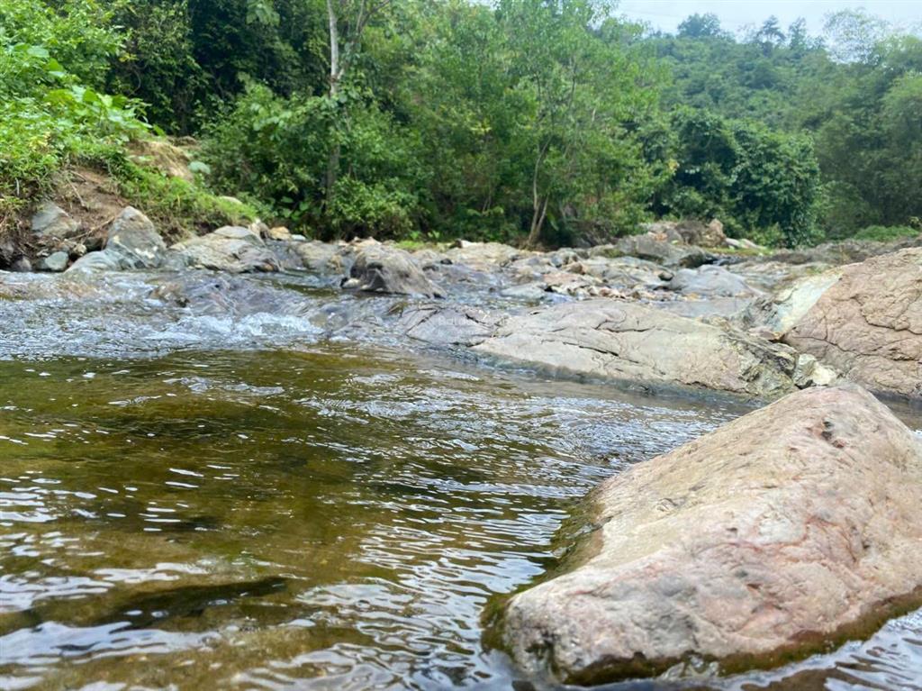 Siêu phẩm bám mặt đường 250m, bám suối 200m cực đẹp xem ngay kẻo lỡ kim bôi hòa bình giá rẻ