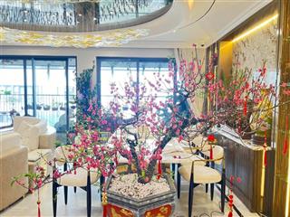 Bán căn penthouse full nội thất làm hết 7,5 tỷ