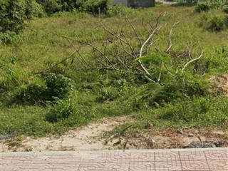 Bán đất mt nguyễn trường tộ, la gi, 159,9m², sổ hồng riêng, tiện kinh doanh gần trung tâm