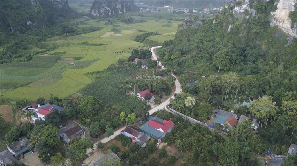 Bán gấp đất thổ cư 1600m2 tại xã lạc lương, 3,6 tỷ