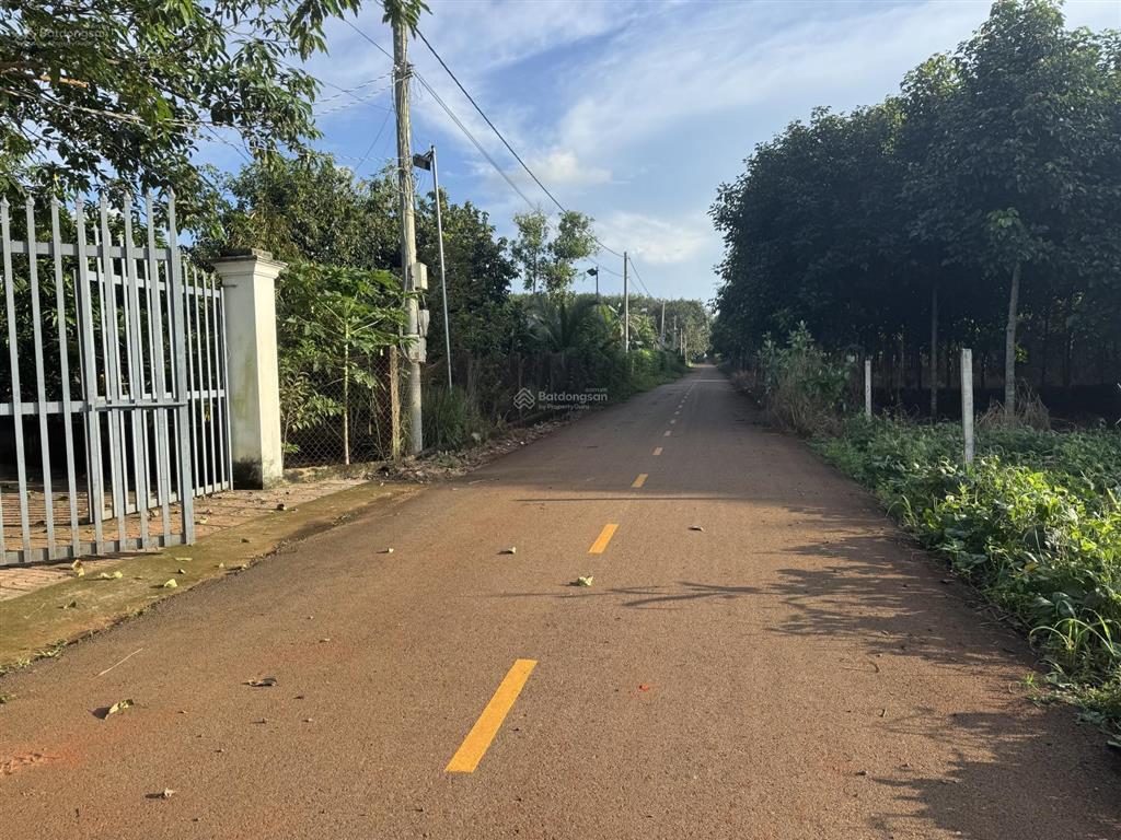 Bán đất tại bưng riềng, xuyên mộc, bà rịa vũng tàu, 2,6 tỷ, 1000m2 bao đẹp hot