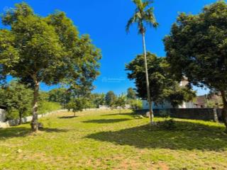 Đất này không mua thì mua đất nào ạ