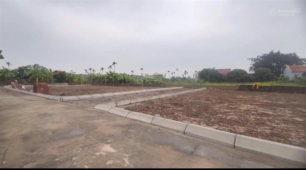 Bán đất đẹp tại xã bát trang, an lão, hải phòng, giá siêu hời 750 triệu, 65m2