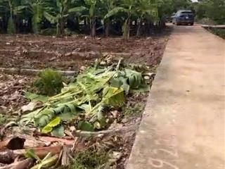 Đất đẹp giá rẻ chân cầu quang thanh an lão