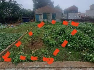 Chính chủ bán đất thổ cư đông hải  thọ an  đan phượng  ô tô vào nhà  sổ hồng riêng