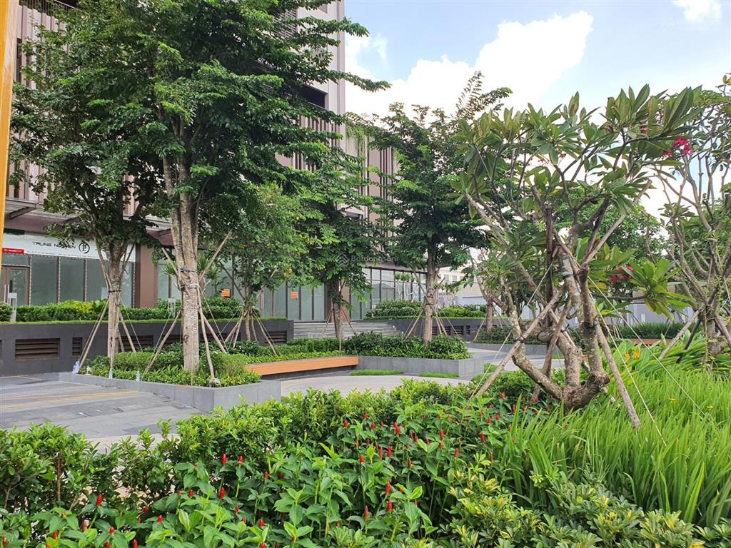 Opal boulevard chủ gửi căn giá tốt 3,4tỷ call 0938 893 ***