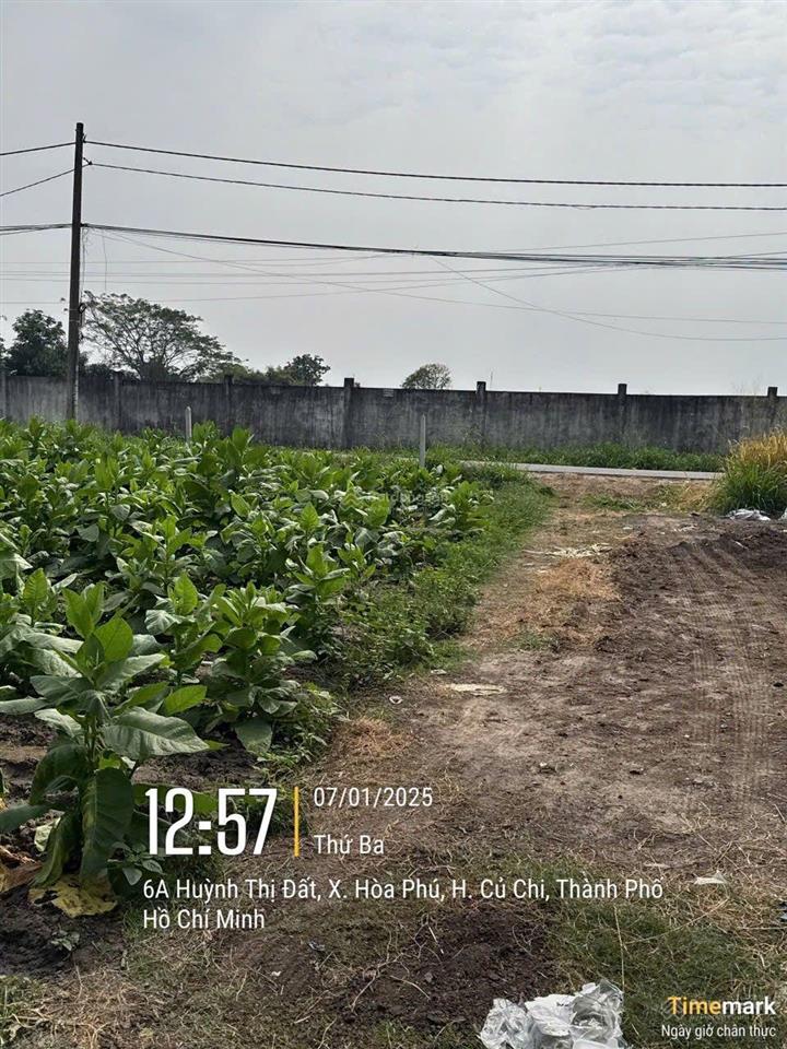 Bán 3266m2, 2393.9m2 thổ cư. đất làm nhà xưởng tại đường huỳnh minh mương, hòa phú, củ chi, 20,8 tỷ