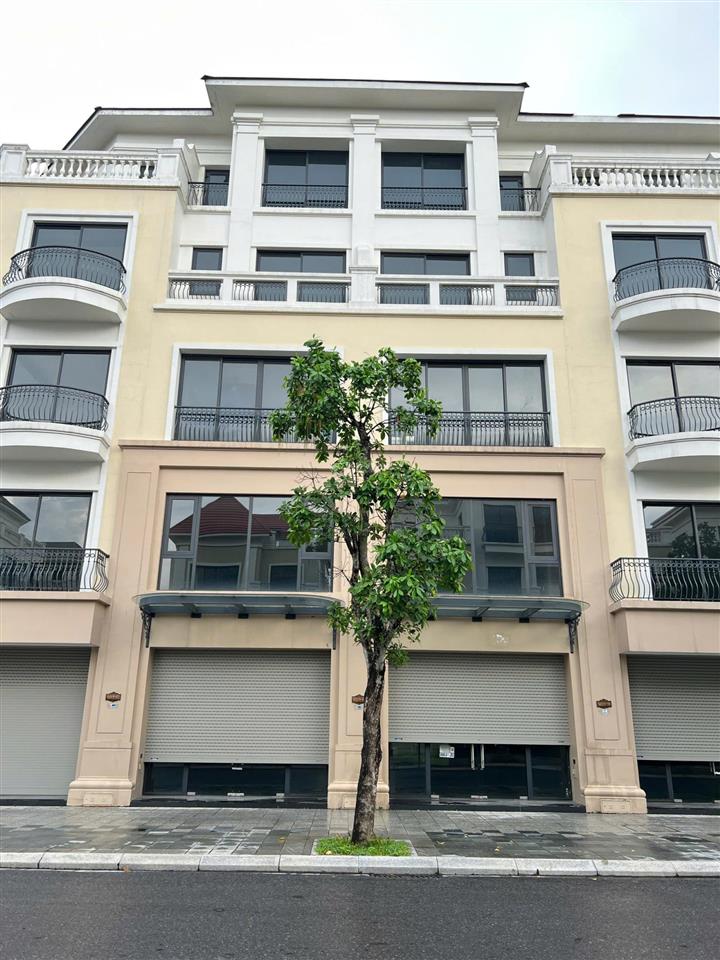 Bán căn liền kề 70m2 khu san hô dự án vinhomes ocean park 2 giá 10,8 tỷ 0911 051 ***
