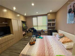 Cần bán nhanh căn góc chung cư the park home thành thái, căn góc 120m2, 3pn, 3 bc, giá 10.650 tỷ