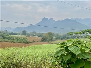 Bán đất tại mỹ hoà, tân lạc, hòa bình, 6768 m2, 400m2 thổ cư, hàng hiếm chỉ 2,9 tỷ.  0902 111 ***