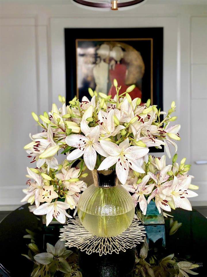 Chính chủ cần bán bt làng quốc tế thăng long cầu giấy dt 200m2 xây 5 tầng đường 20m giá 99 tỷ