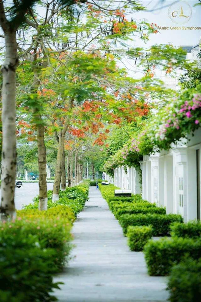 Bán 2 căn bt song lập 132.69m2 kđt an lạc green symphony view trường học hàng hiếm có hầm giá rẻ