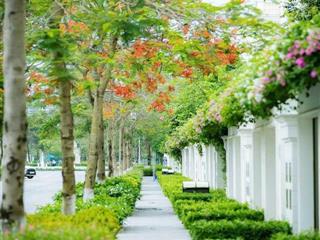 Bán biệt thự sl dt 132m2 kđt an lạc green symphony đông nam dương cầm 8 view trường học 0981 559 ***