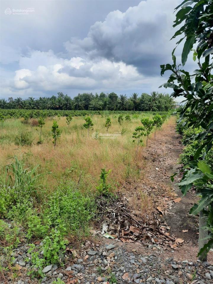 Bán đất tại đường vườn thơm. dt 1000m2  2000m2  3000m2  4000m2  5000m2