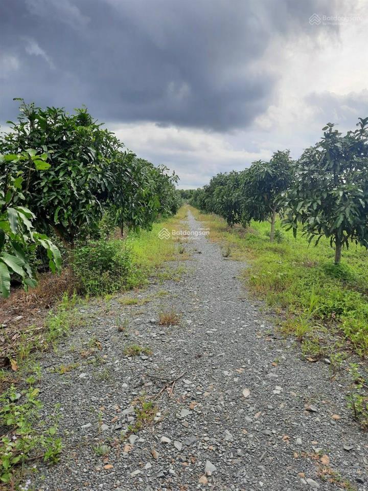 Bán đất tại đường vườn thơm. dt 1000m2  2000m2  3000m2  4000m2  5000m2