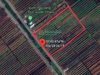 Bán gấp 4503m2 đất mặt đường kênh 10  đường vườn thơm. giá 3,5tr/m2