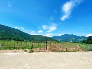 Bán lô đất làm trang trại ~ 4000m2, mặt tiền đường lớn, thôn nam yên & an định, hòa bắc, 5.5 tỷ