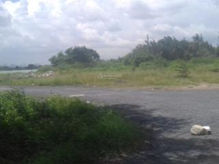 Bán 971m2 đất gần sông vàm thuật phù hợp làm biệt thự vườn