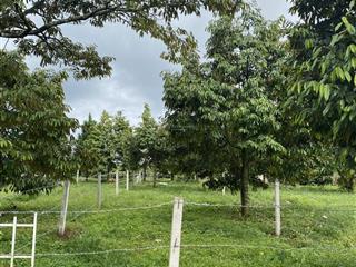 Chính chủ bán lô đất mặt tiền đường liên xã lộc đức, 5x35m. 865 tr. 0977 846 ***