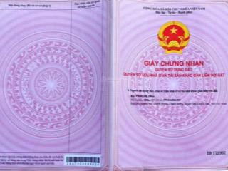 Ấp thạnh lợi, xã thạnh bình, tỉnh tây ninh. đất trồng mãng cầu