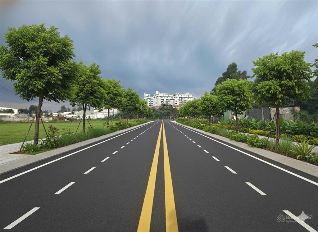 Đất sau lưng chợ đầu mối thủ đức ,tam bình,thủ đức  thổ cư 100%  ô tô tới đất.