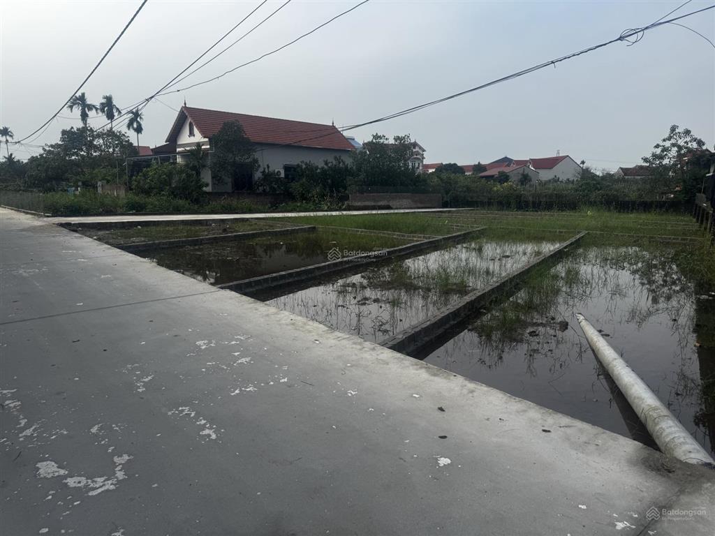 Chính chủ bán lô đất đẹp tại đông tảo hưng yên