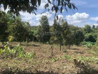 Chính chủ kẹt tiền cần bán gấp 3300m2 đất nông nghiệp quy hoạch full thổ cư tại tân lạc, bảo lâm
