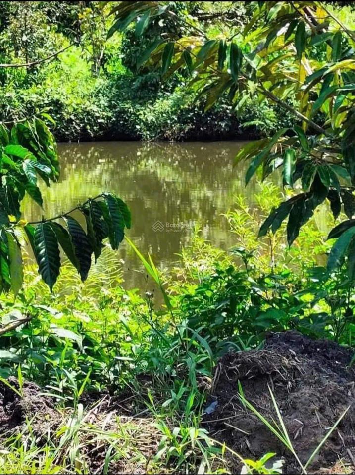 Chính chủ kẹt tiền cần bán gấp 3328m2 đất nông nghiệp quy hoạch full thổ cư tại tân lạc, bảo lâm