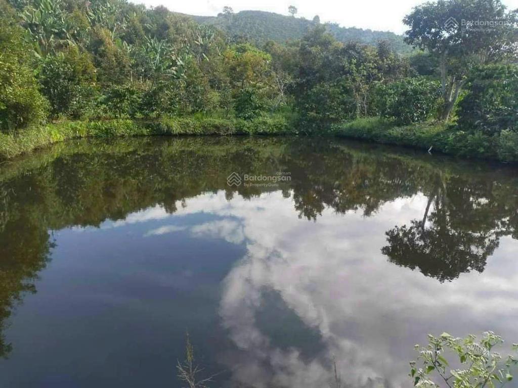 Chính chủ kẹt tiền cần bán gấp 3328m2 đất nông nghiệp quy hoạch full thổ cư tại tân lạc, bảo lâm