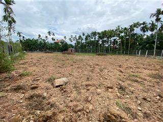 Bán đất nhà vườn siêu rộng xã hành thuận, nghĩa hành, quảng ngãi, 3,5 tỷ, 1558,3 m2