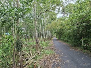 Cần sang nhượng gấp đất hẻm ô tô tải quay đầu đường phú thuận, xã an ninh tây , tp.hcm