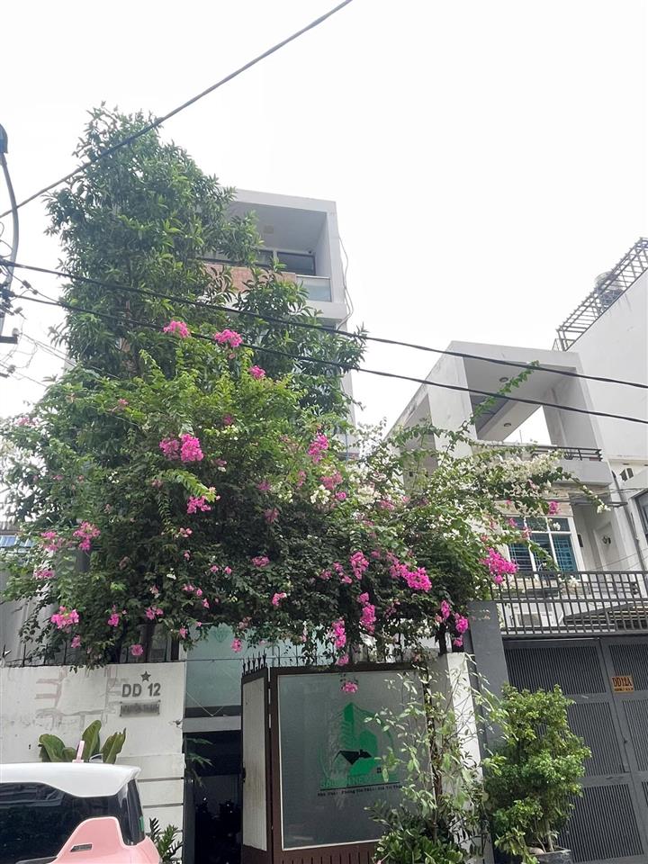 Mặt tiền đường bạch mã cư xá bắc hải 5.5x24m, nhà 4 lầu hđ thuê 90tr/th giá 27.9 tỷ tl
