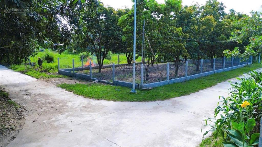 Đất full thổ cư quy hoạch an toàn đô thị mới cam lâm khu dân cư đông đúc giá đầu tư lợi nhuận cao