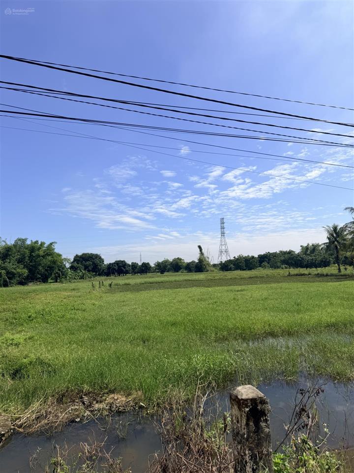 Lô đất sào thôn lam sơn  xã cam lâm giá siêu rẻ, đầu tư lâu dài lợi nhuận cao