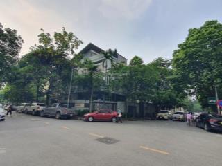 100tr/tháng! vỉa hè! lô góc! 2 mặt tiền! 4 ô tô tránh! nhà thành thái 260m2, 5 tầng