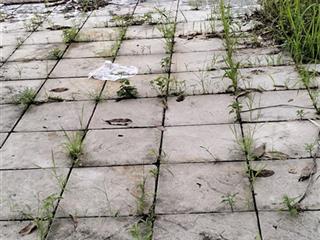 Đất đẹp khu đô thị khai sơn  xuân lâm  thuận thành. diện tích 90m2. giá 6tỷ2