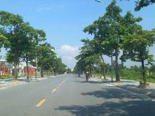 Bán đất mặt phố trâu quỳ,lô góc ,gần trung tâm ocenpark 1,dt58m, chỉ nhỉnh 8tỷ