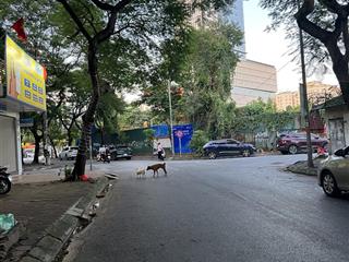 Bán nhà lk trung kính 81m2, 5 tầng, 4.2m mt, ngõ ô tô tránh 36.3 tỷ